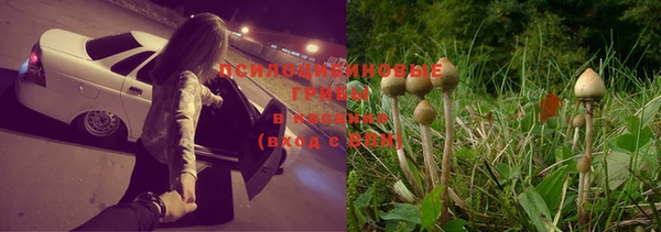 марихуана Приозерск