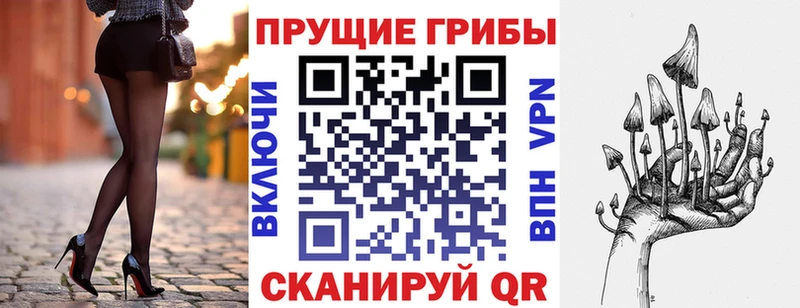 Купить закладки  Лаишево  Псилоцибиновые грибы GOLDEN TEACHER 